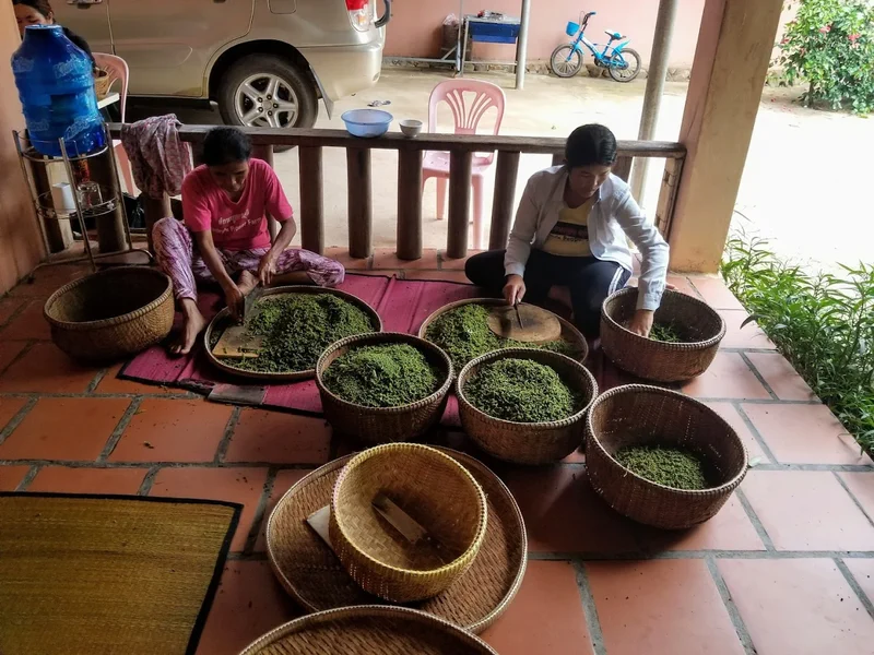 Séchage naturel poivre au soleil