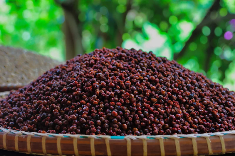 Jardin écologique Kep Cambodge